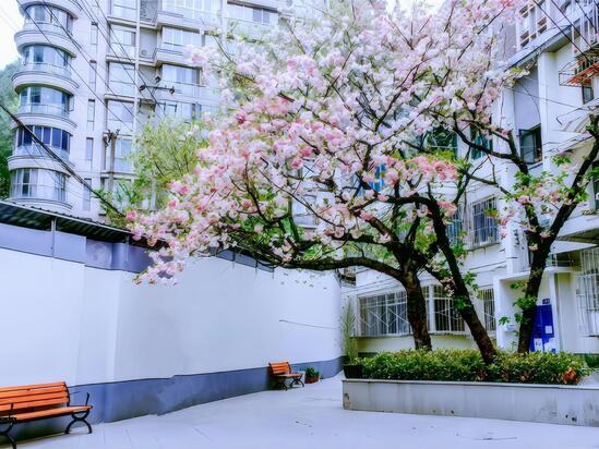 图3 棚户区改造综合整治项目.jpg