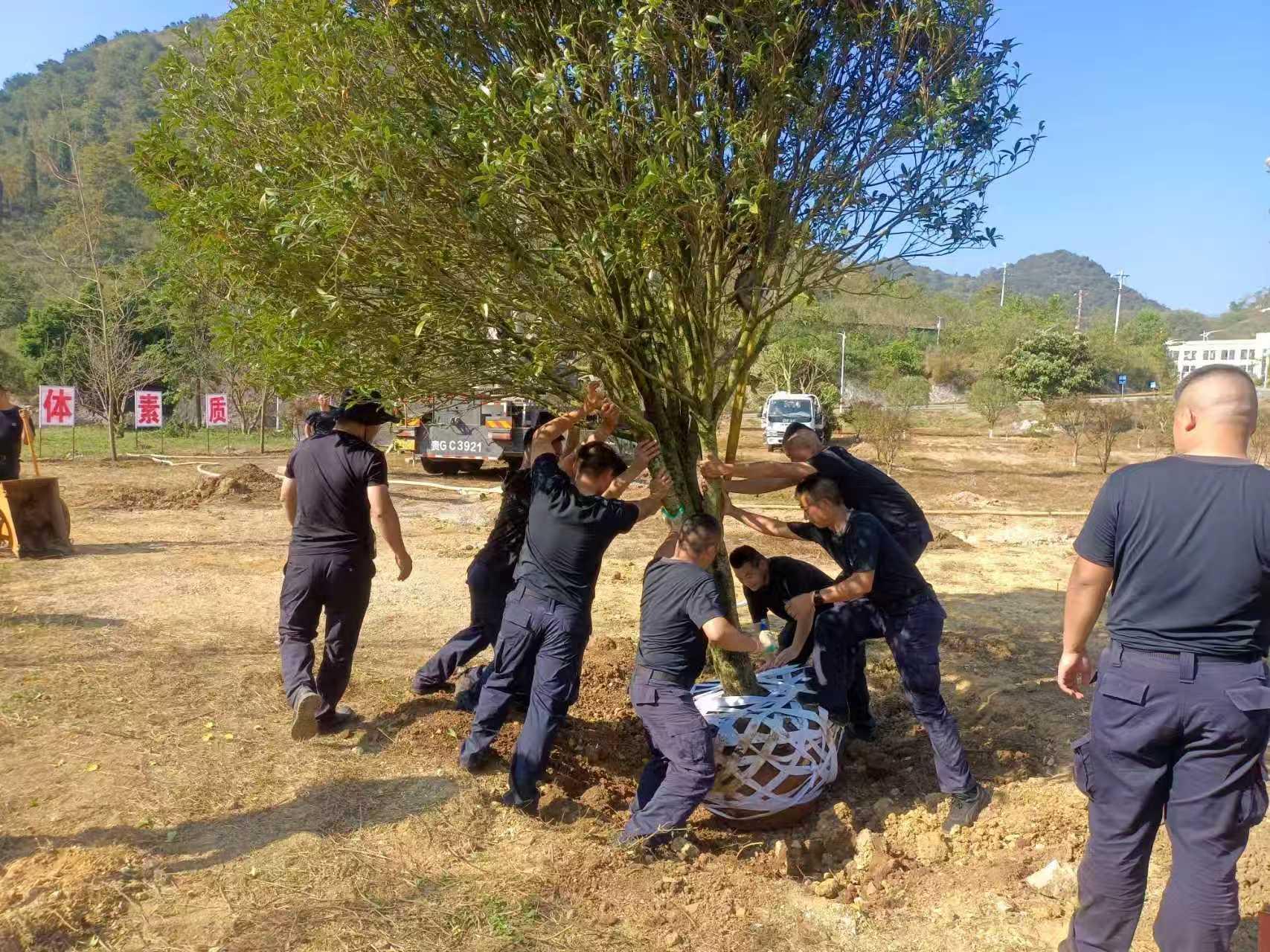 图4种植现场.jpg