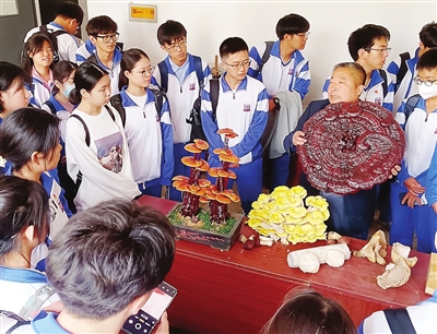 b9a3e6ebd593f00e88ff45533ead730a_p2_b.jpg b9a3e6ebd593f00e88ff45533ead730a_p2_b.jpg