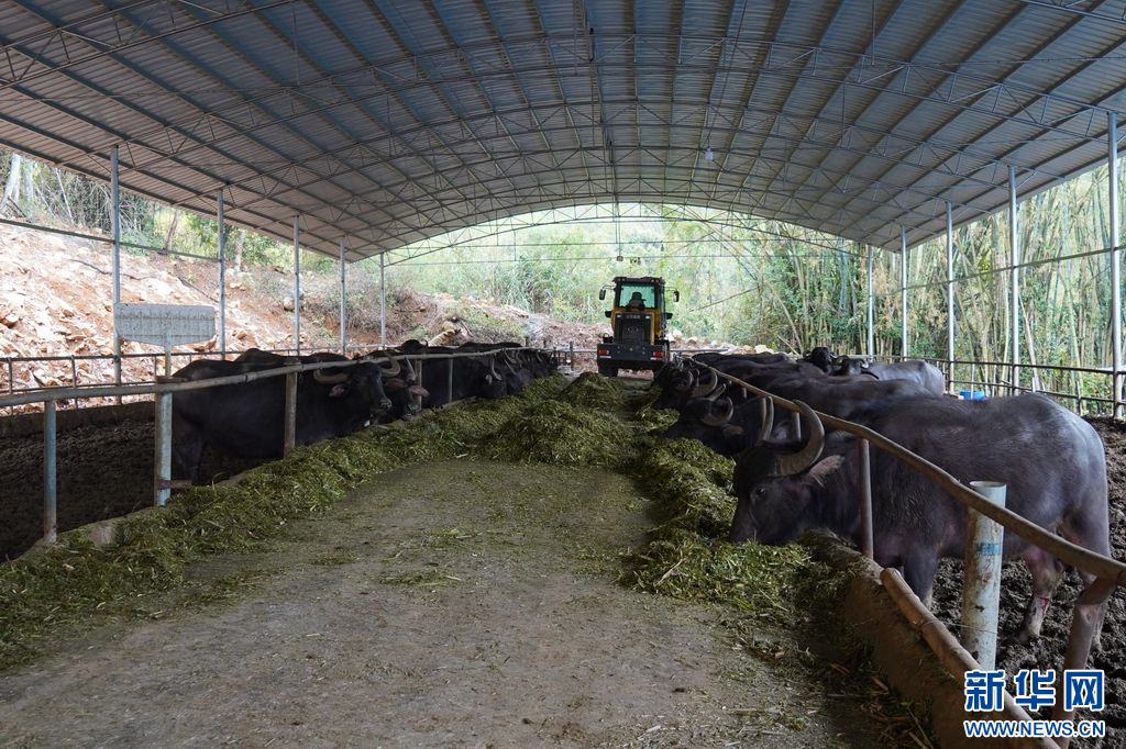 ae9df6188c14aab93b2d1291a3b5e919_3dbfe6d2ffeb4292b041653c61517b17.jpg ae9df6188c14aab93b2d1291a3b5e919_3dbfe6d2ffeb4292b041653c61517b17.jpg