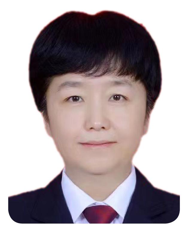 石瑛 贵州省安顺市人民检察院 党组书记、检察长党的二十大报告以专章形