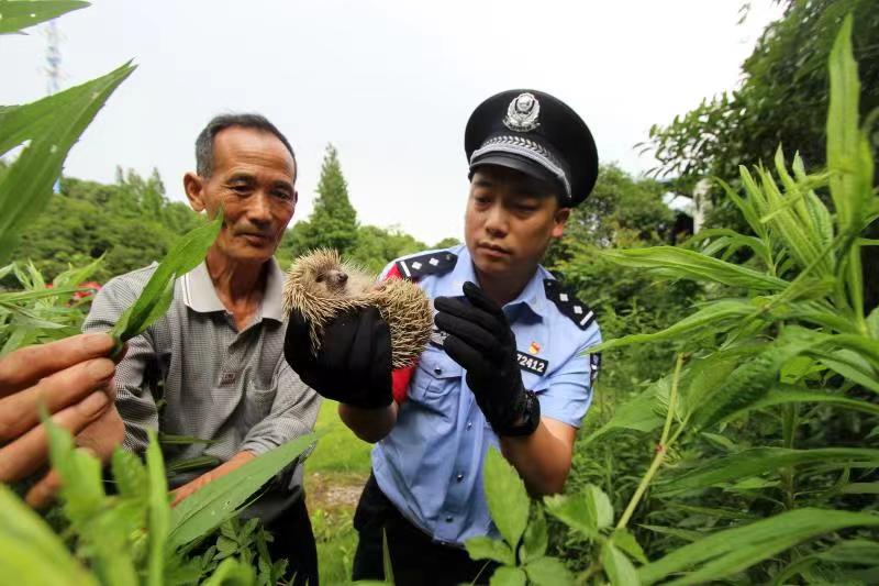 ����С���