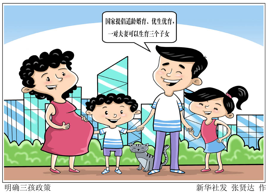 8月17日提请十三届全国人大常委会第三十次会议审议的人口与计划生育