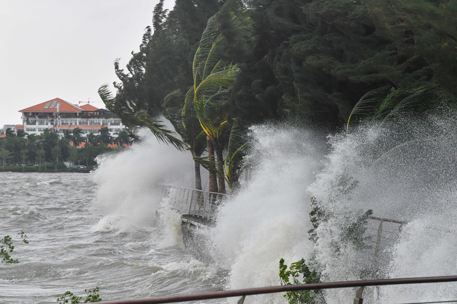 沿海复杂地形台风登陆过程风场多尺度数值模拟