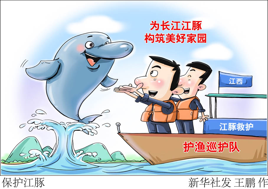 漫画保护江豚