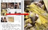 关注成都七中实验学校食堂管理问题