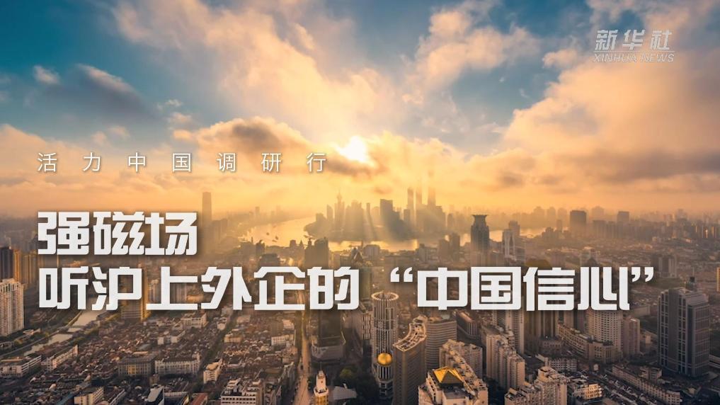 强磁场——听沪上外企的“中国信心”
