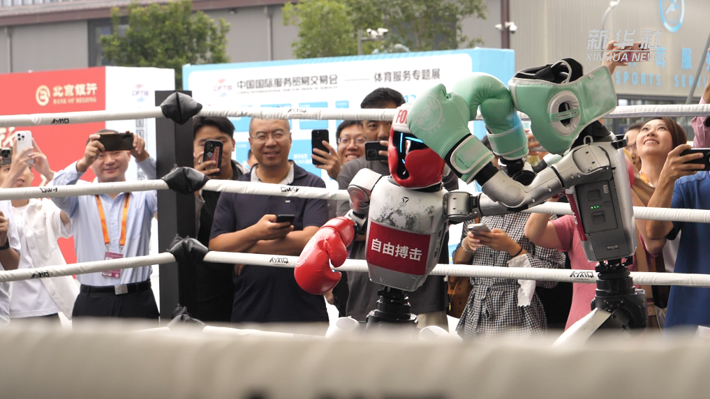 2025中国国际服务贸易交易会 精彩启航
