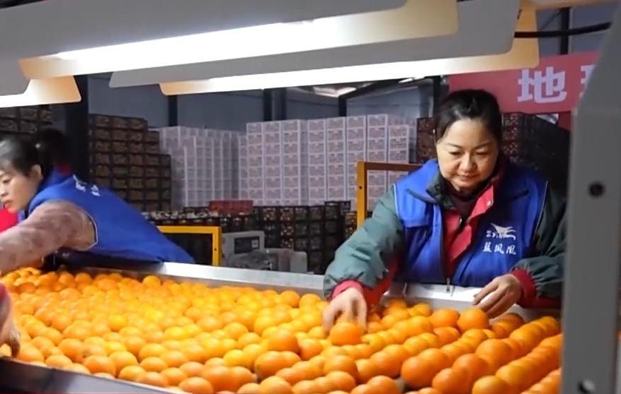 “十五五”开好局起好步丨做强特色优势产业 全面推进乡村振兴