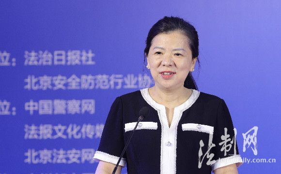 湖北省武汉市委政法委副书记 罗平