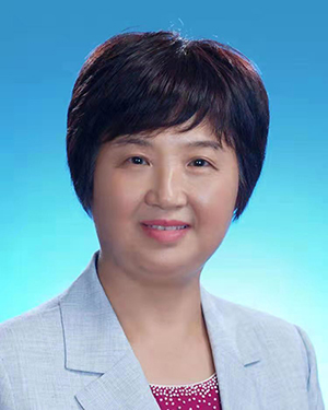 王玲 湖北省人大常委会副主任