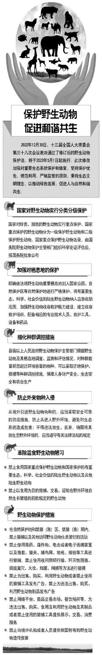 保护野生动物促进和谐共生(图1)