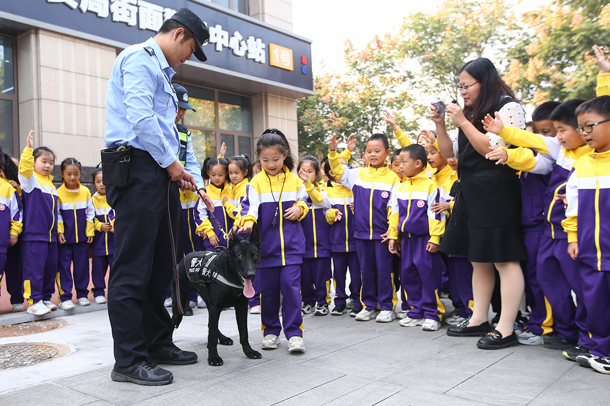 香港警犬队领犬员和他的“家人”_京报网
