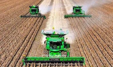 2025农业农村经济运行“成绩单”来了！