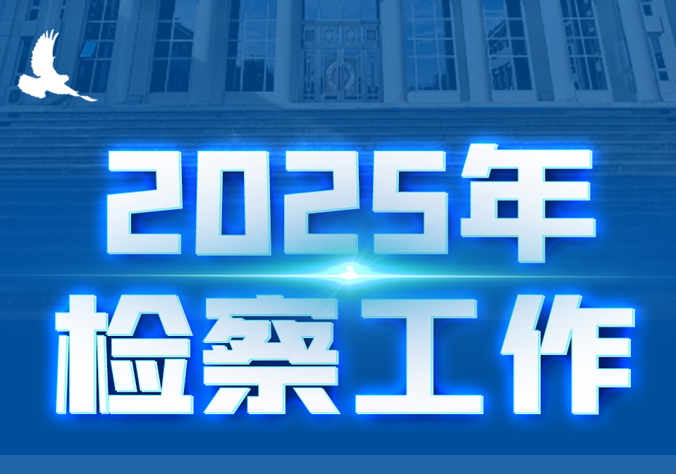 一图全面了解2025年检察工作