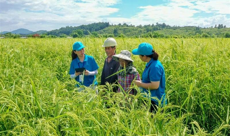 摸清"三农"家底 第四次全国农业普查有这些新变化