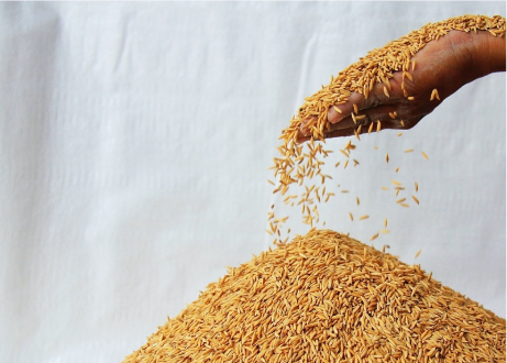 两高联合发布“农资打假”刑事典型案例