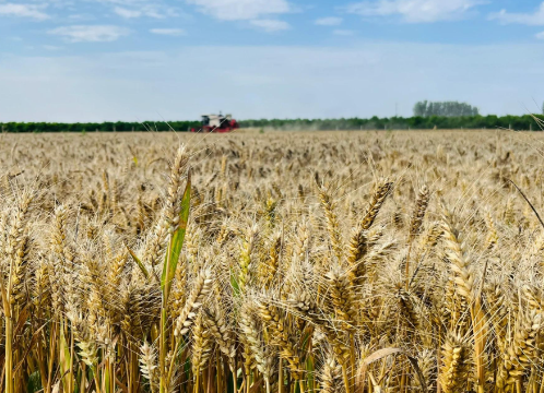 两部门公布4起非法占用耕地刑事犯罪典型案例