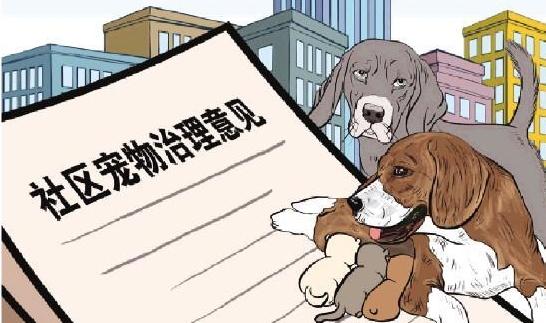 社区流浪宠物治理如何破局