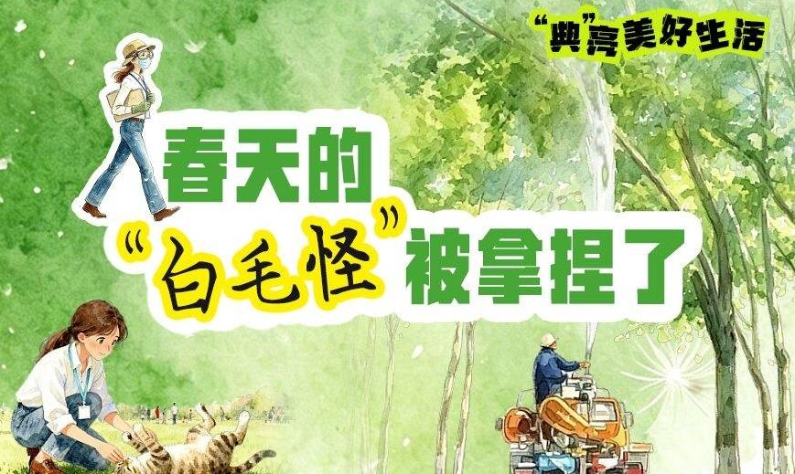 “典”亮美好生活 | 春天的“白毛怪”被拿捏了