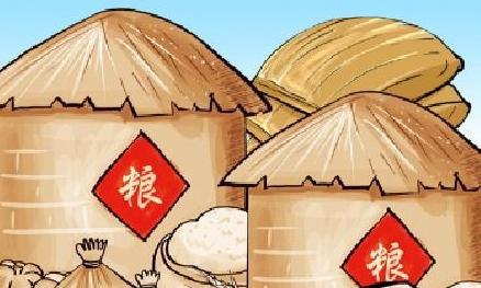 法治护航，中国饭碗端得更稳更牢