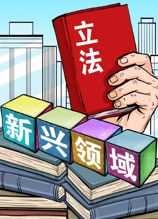 加快新兴领域立法 为高质量发展提供坚实法治支撑