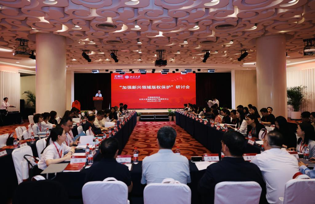 加强新兴领域版权保护研讨会在北京举办