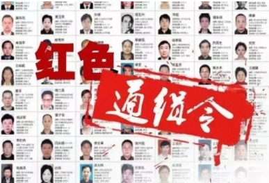 14名“红通”嫌疑人被押解回国