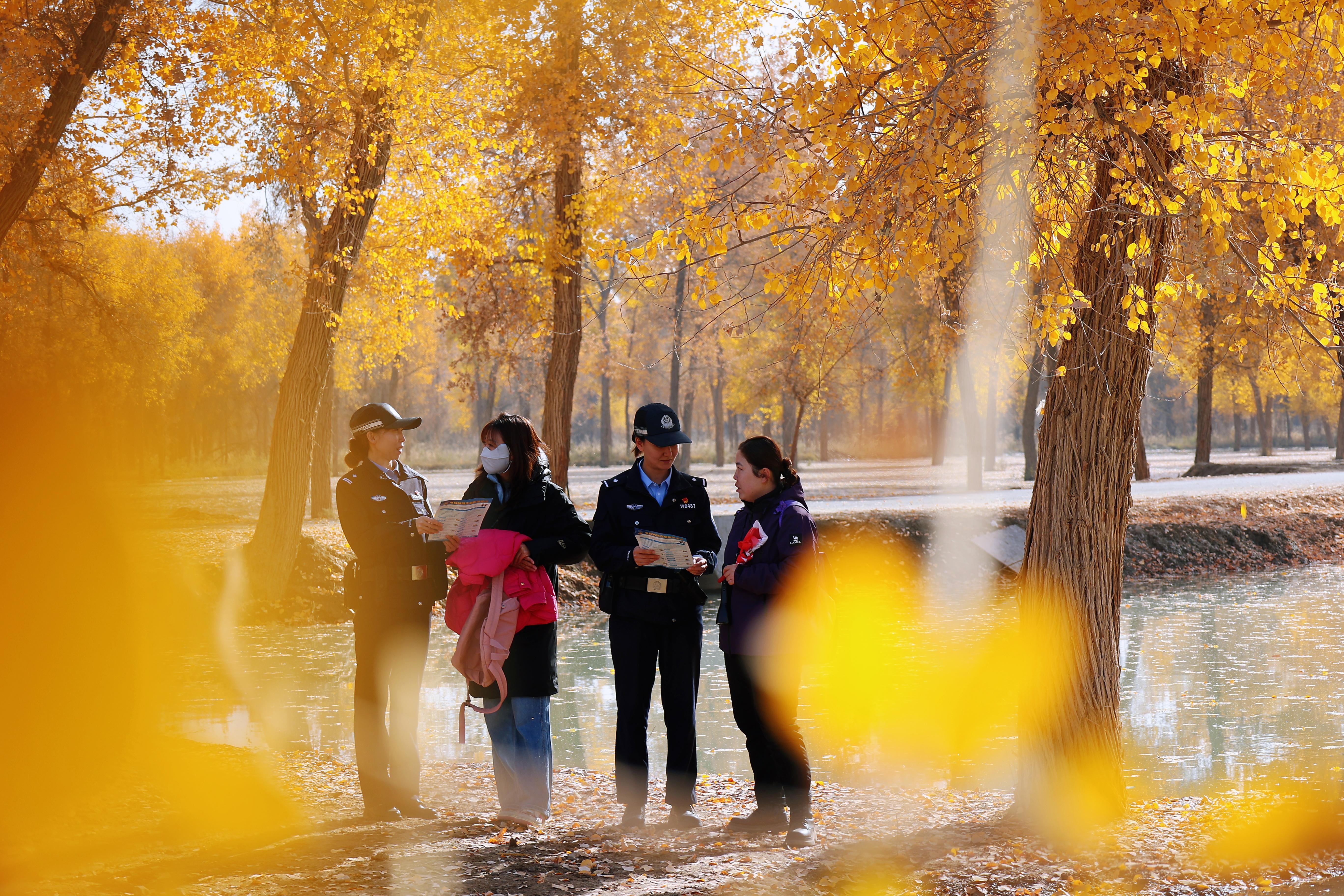 新疆阿瓦提：旅游警务守护金色胡杨