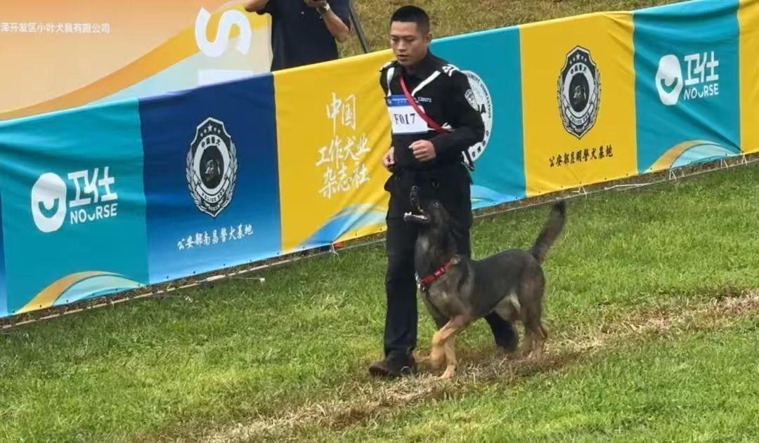 与“无言战友”并肩作战的故事