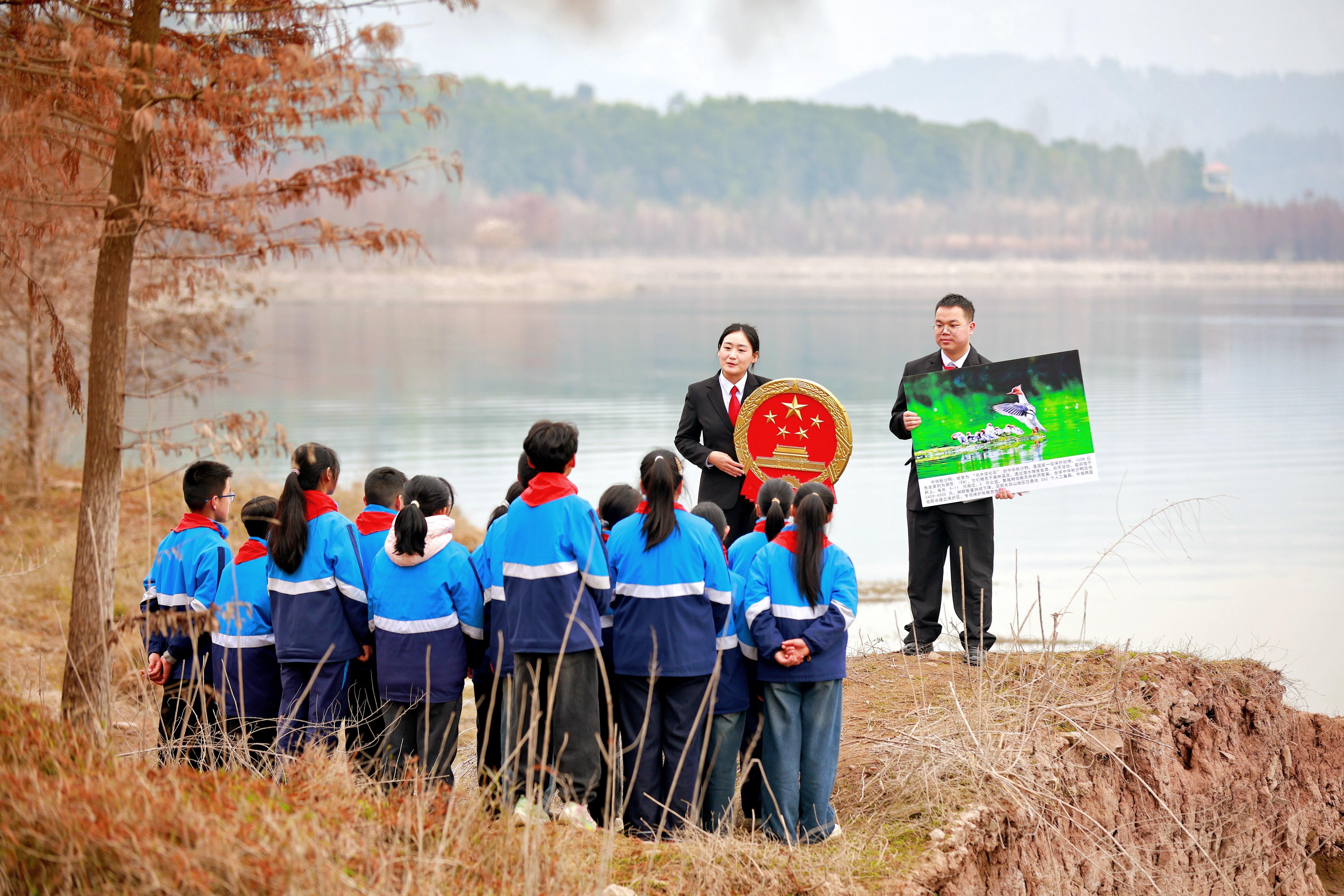 与雁同行共护湿地