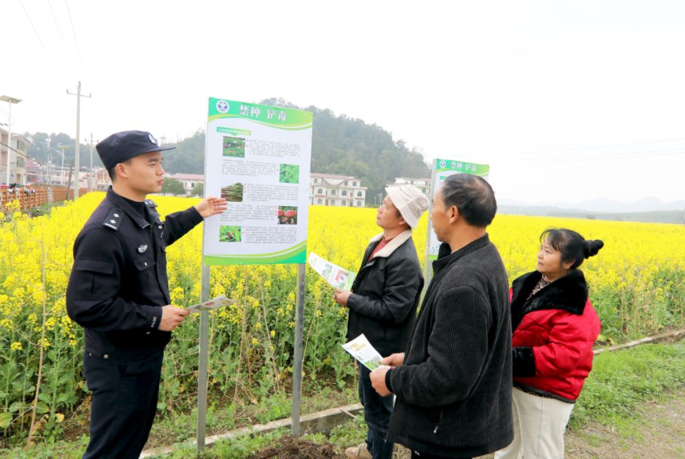 江西分宜：禁种铲毒筑牢无毒防线