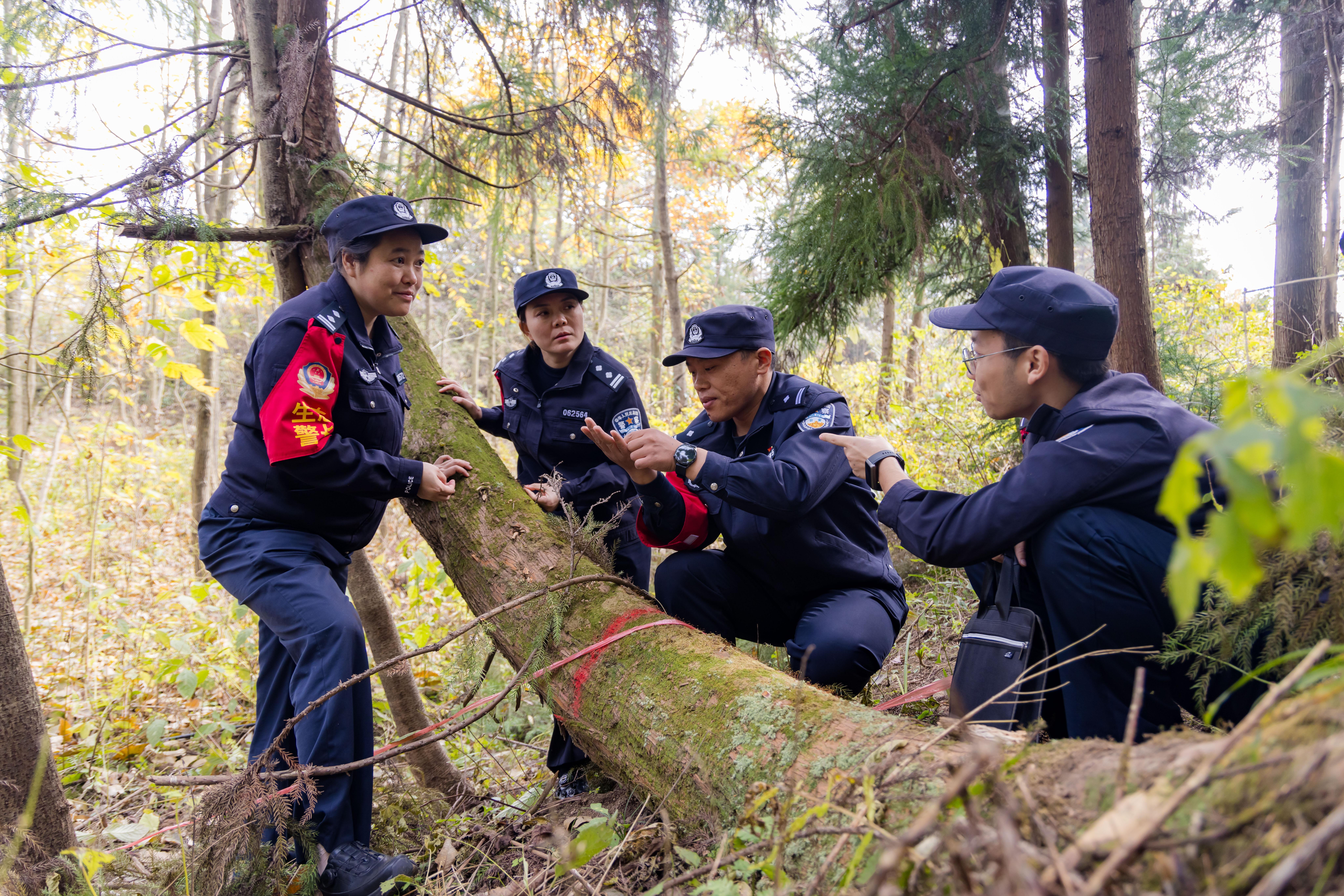 ​宜昌公安严打生态环境犯罪显成效