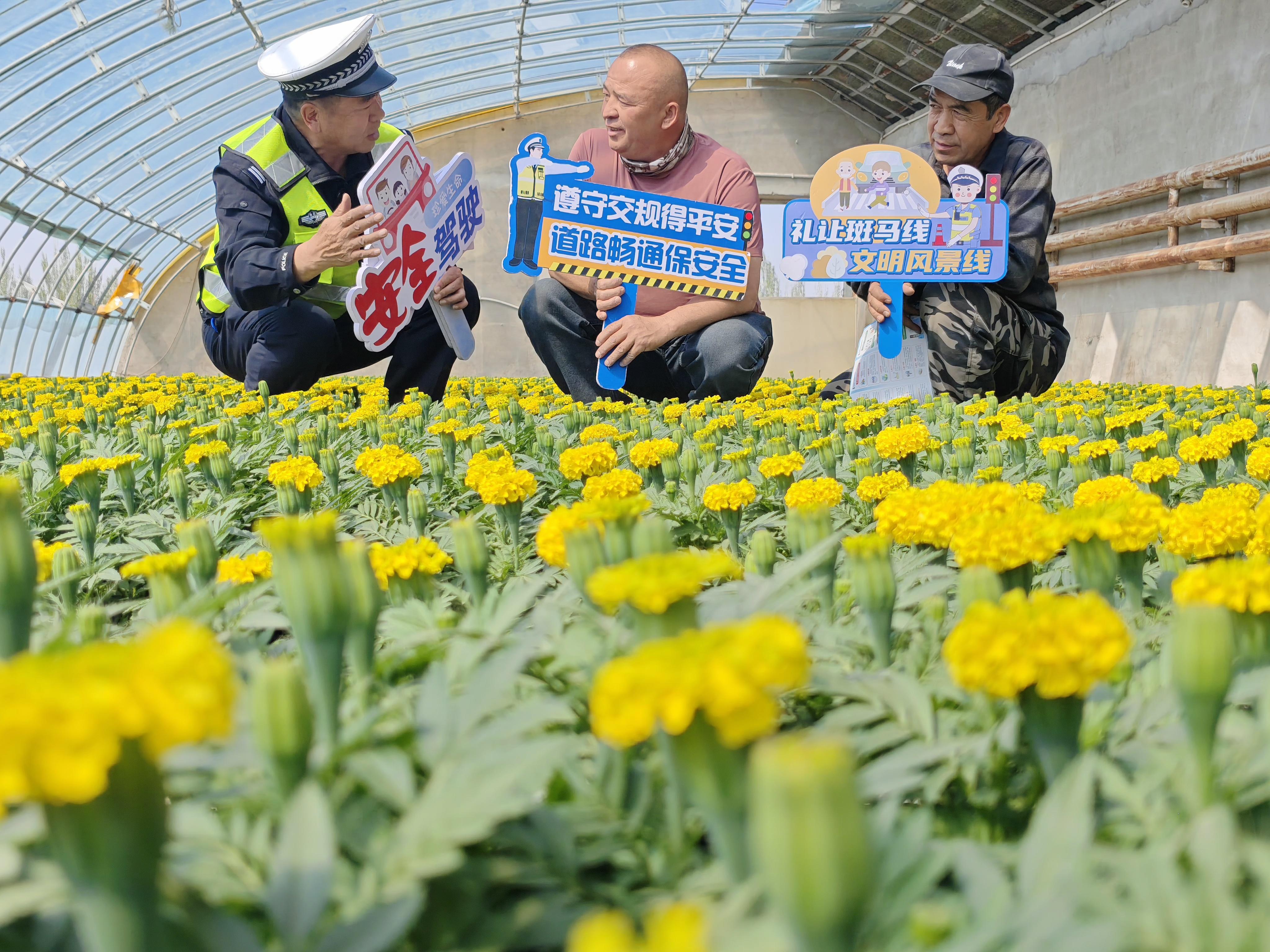新疆库尔勒：花卉“艳”“警”色美