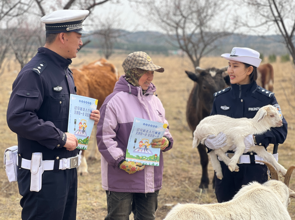 内蒙古呼和浩特市新城区交管大队开展法治宣传活动