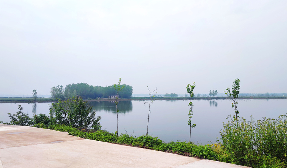 湖北石首：公益诉讼守护“长江故道”