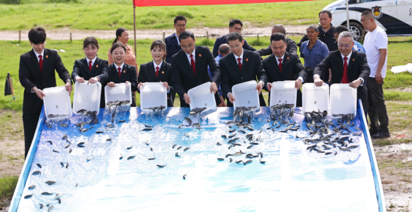 长江边的增殖放流