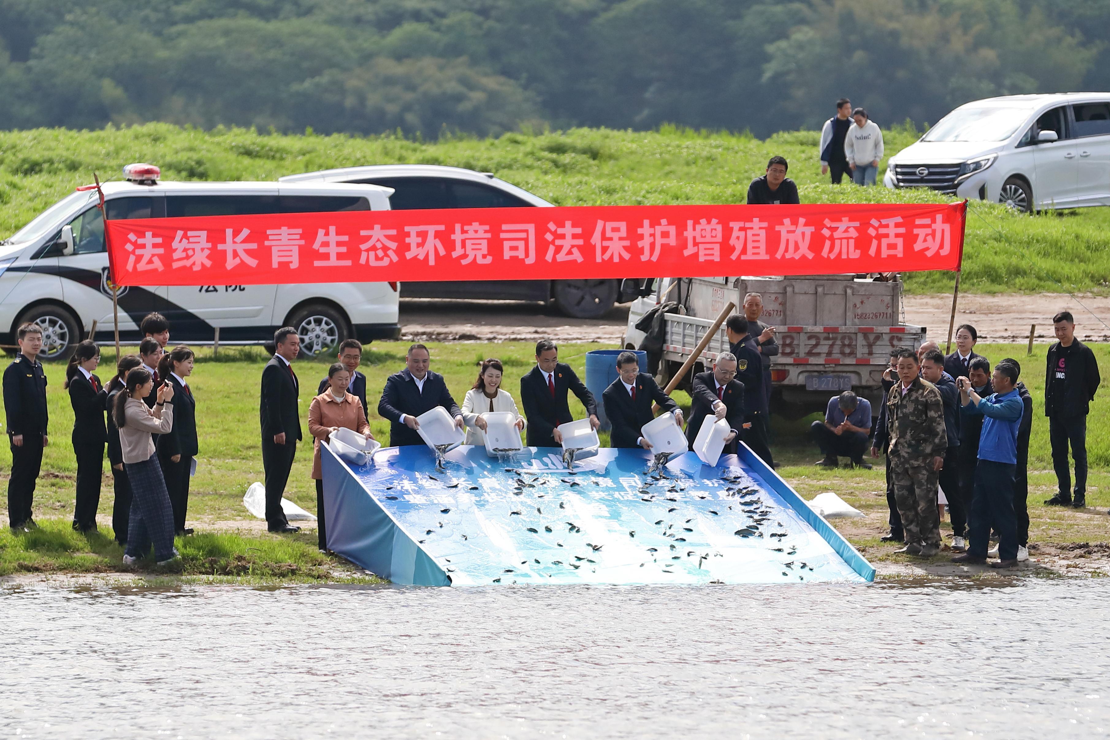 长江边的增殖放流活动