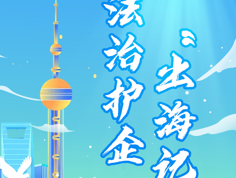 法治护企“出海记”