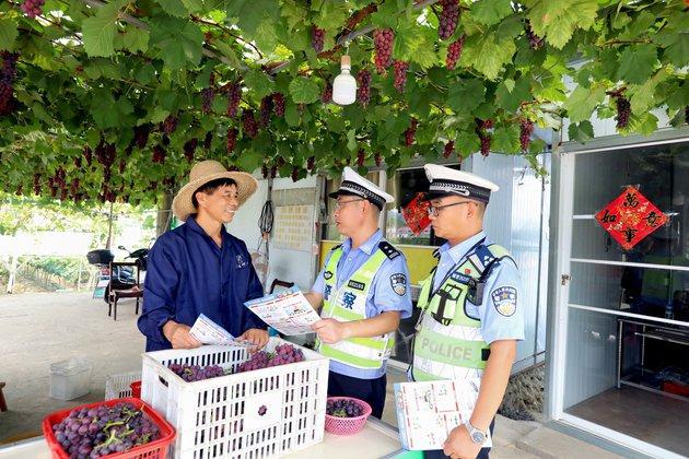 江西分宜：果园话安全护航丰收季