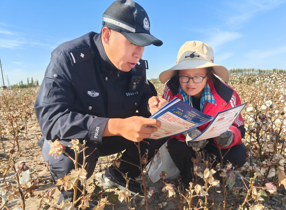 新疆兵团芳草湖垦区：藏蓝护航秋收季 田间警务守棉丰