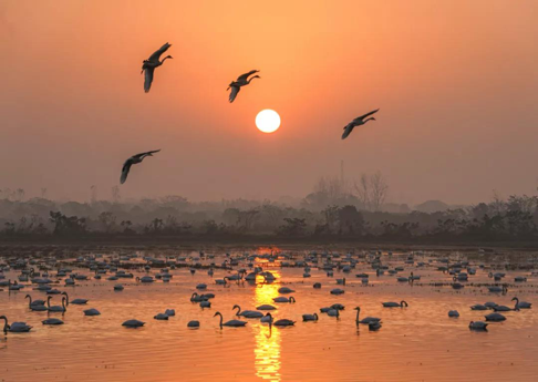 岳阳东古湖生态蝶变背后的检察守护