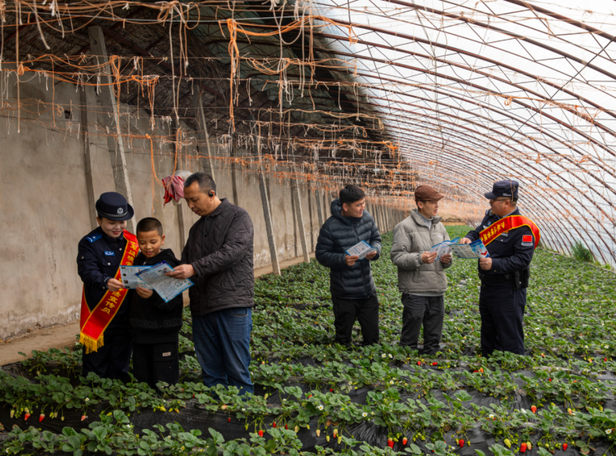 新疆伊犁：“莓”好生活 与法同行