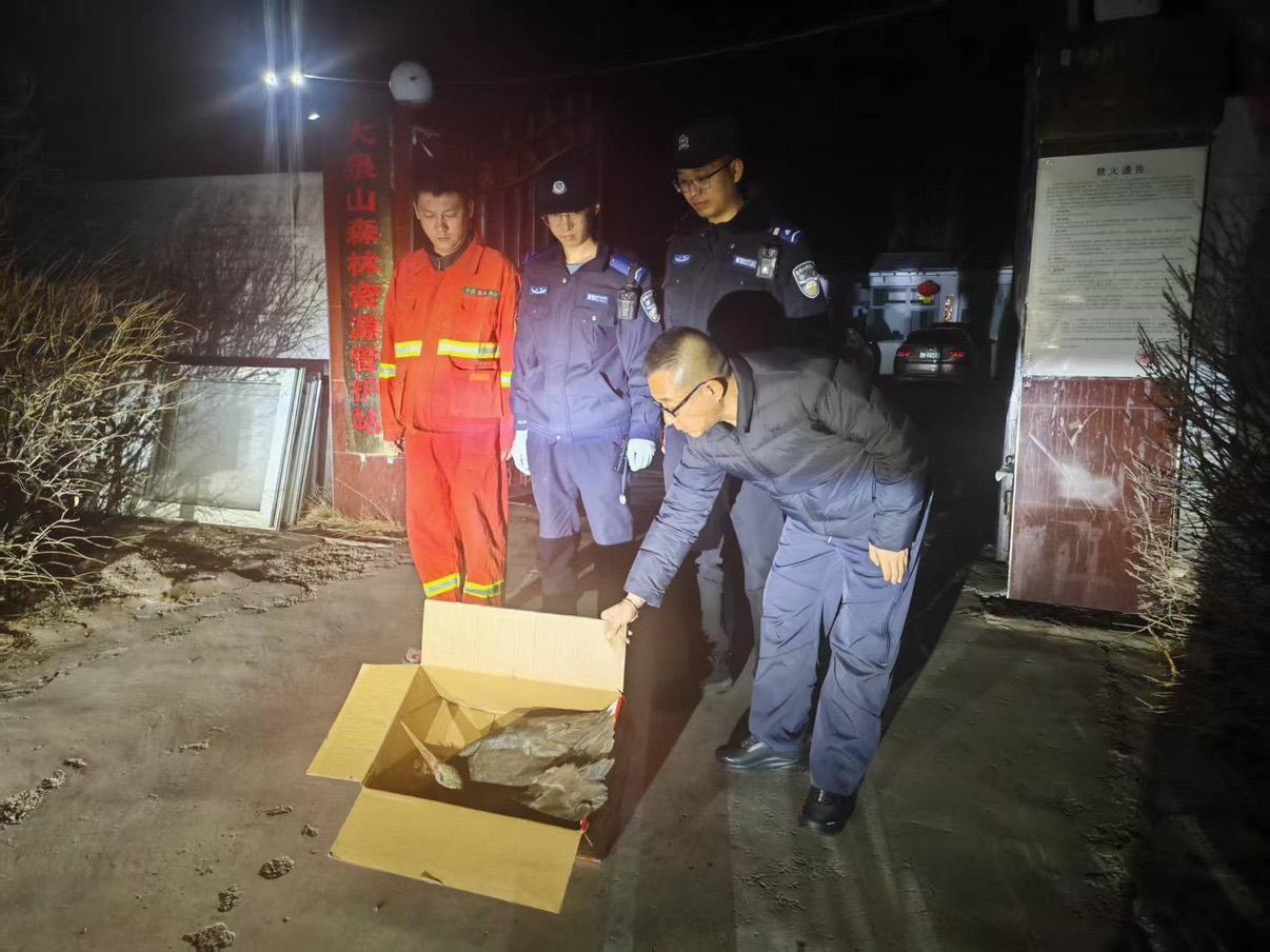 深夜警民接力！大同“鸟中大熊猫”黑鹳获救