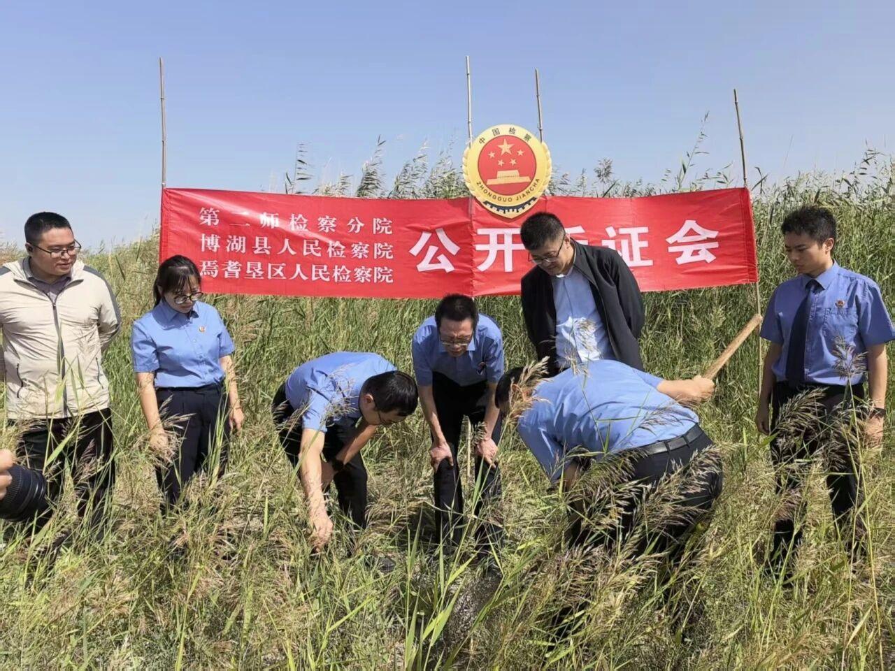 兵地检察机关联动 盘踞湿地五年的“钉子路”消失了