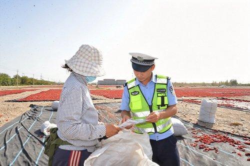 新疆和硕：辣椒晾晒场上的交通安全普法宣传