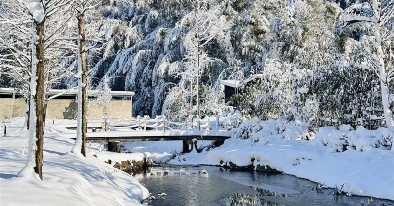 瑞雪丰年太平镇