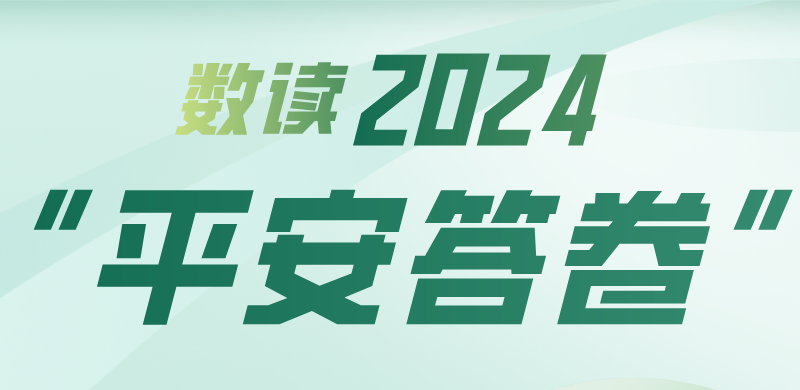 ​数读2024“平安答卷”