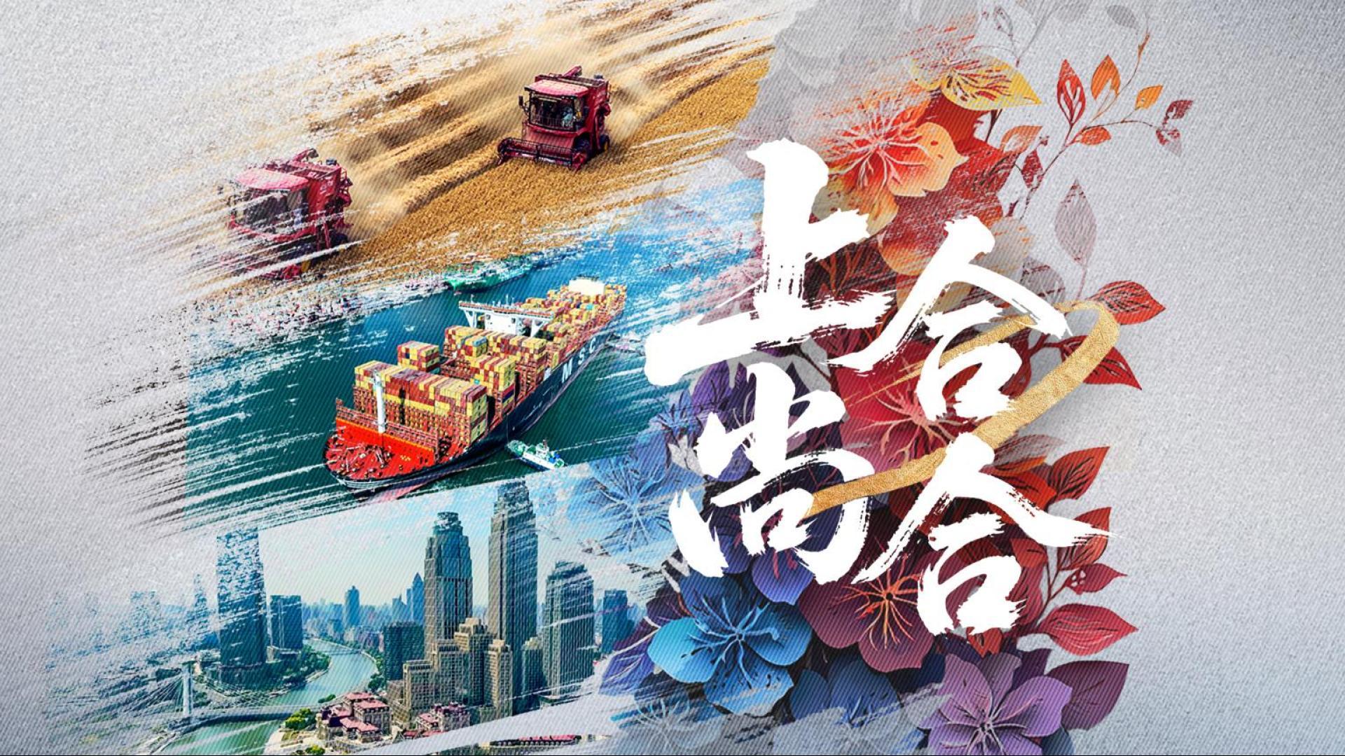 纪录片丨上合，尚合