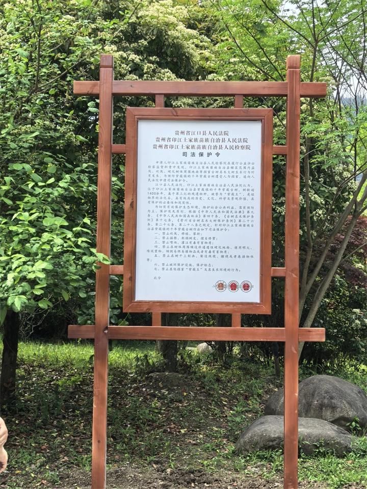 司法保护令.jpg